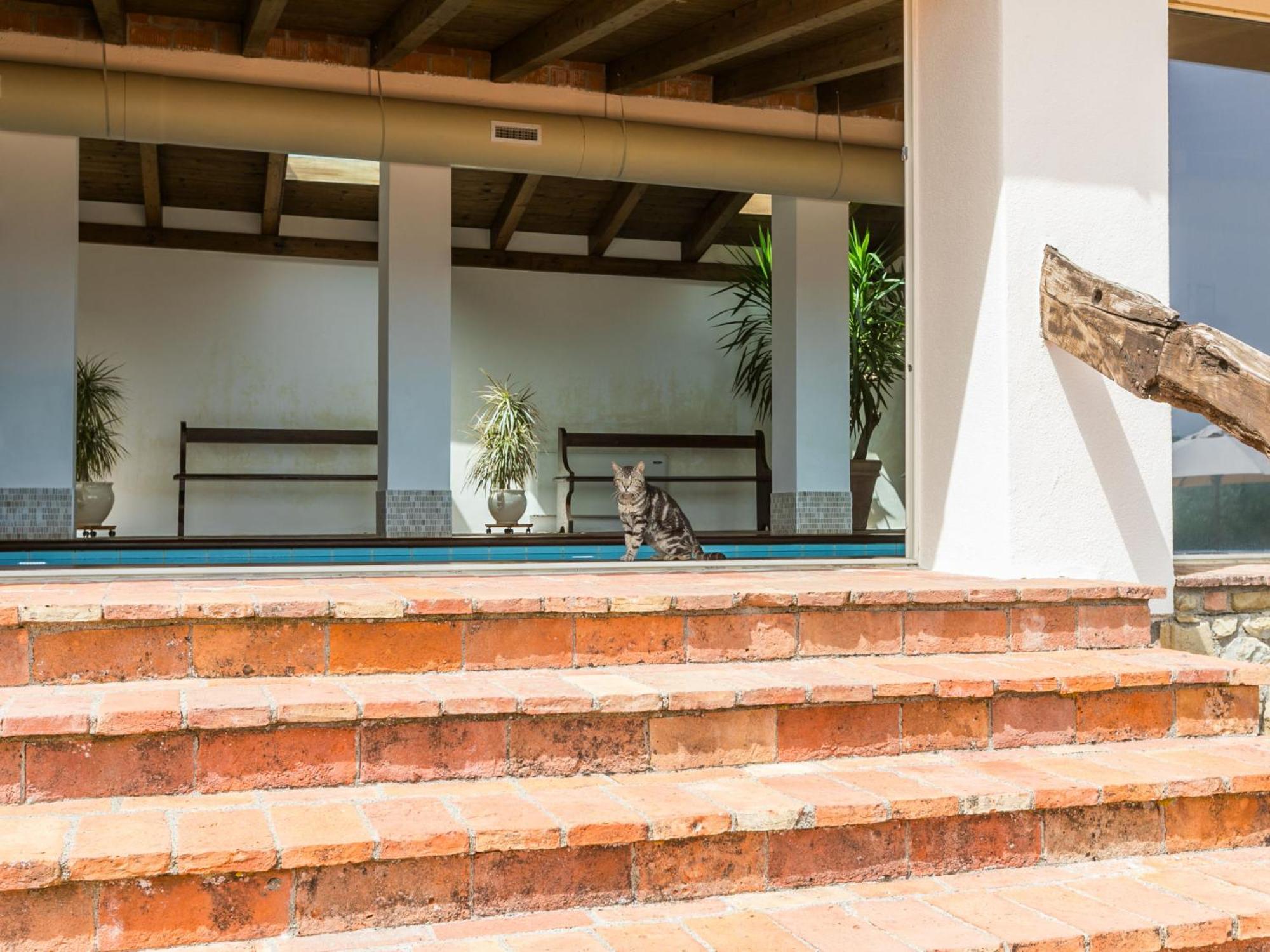 Apartment Santa Marta By Interhome Cinigiano Exteriör bild
